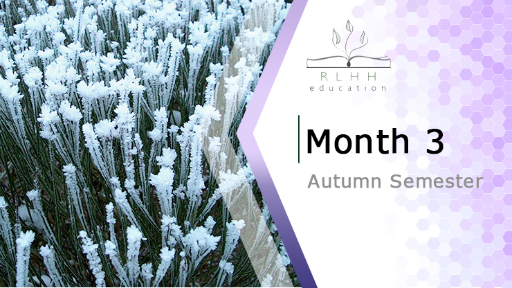 Intermediate - Autumn Semester Month 3 (On-Line Part)